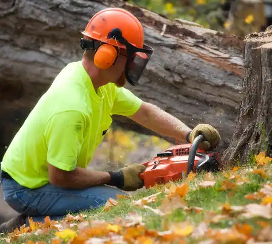 tree services Glen